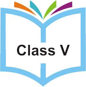 Class V