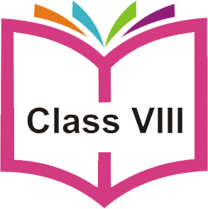 Class VIII