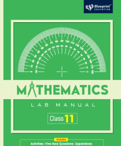 Blueprint Mathematics Lab Manual for Class 11