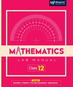 Blueprint Mathematics Lab Manual for Class 12