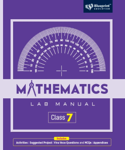 Blueprint Mathematics Lab Manual for Class 7