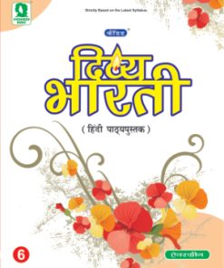 Evergreen Candid Divya Bharti for Class 6