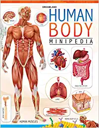 Dreamland Human Body Minipedia