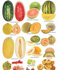 Dreamland Fruit Chart - 4