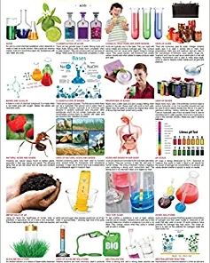 Dreamland Acids, Bases & Alkalis