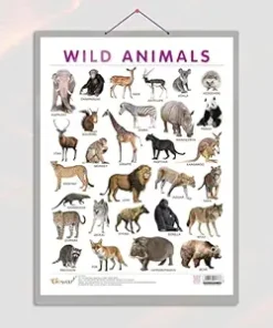 Gowoo Laminated Charts ( Hard Lamination ) Wild Animals