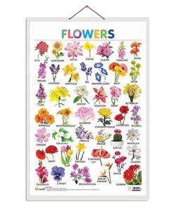 Gowoo Hard Lamination Educational Charts Flowers
