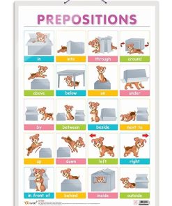 Gowoo Hard Lamination Educational Chart Prepositions