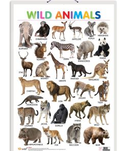 Gowoo Hard Lamination Educational Charts Wild Animals