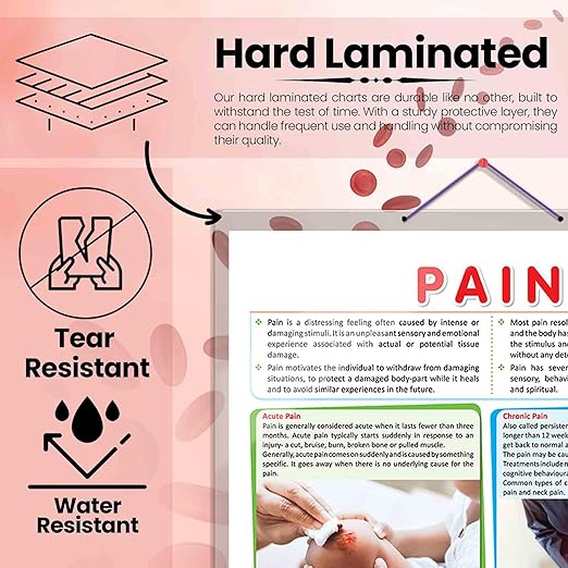 Gowoo Human Anatomy Charts Pain - Image 5