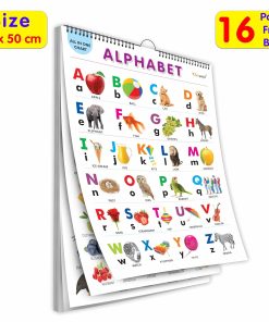 Gowoo All in One Spiral Chart (16 in 1Chart)