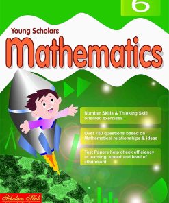 Scholar Hub Young Scholar Mathematics 6