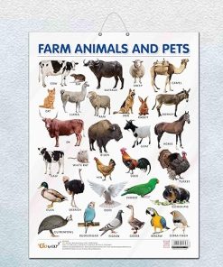 Gowoo Laminated Charts ( Glossy Lamination ) Farm Animals and Pets