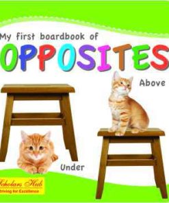 Scholars Hub My first board book of opposites
