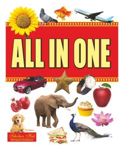 Scholar Hub ALL IN ONE Picture Book (Paperback)