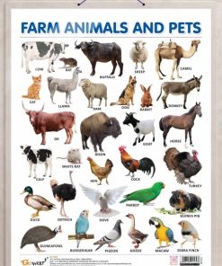 Gowoo Laminated Charts ( Hard Lamination ) Farm Animals and Pets