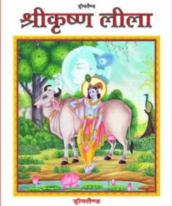 Dreamland Shri Krishna Leela (Hindi)