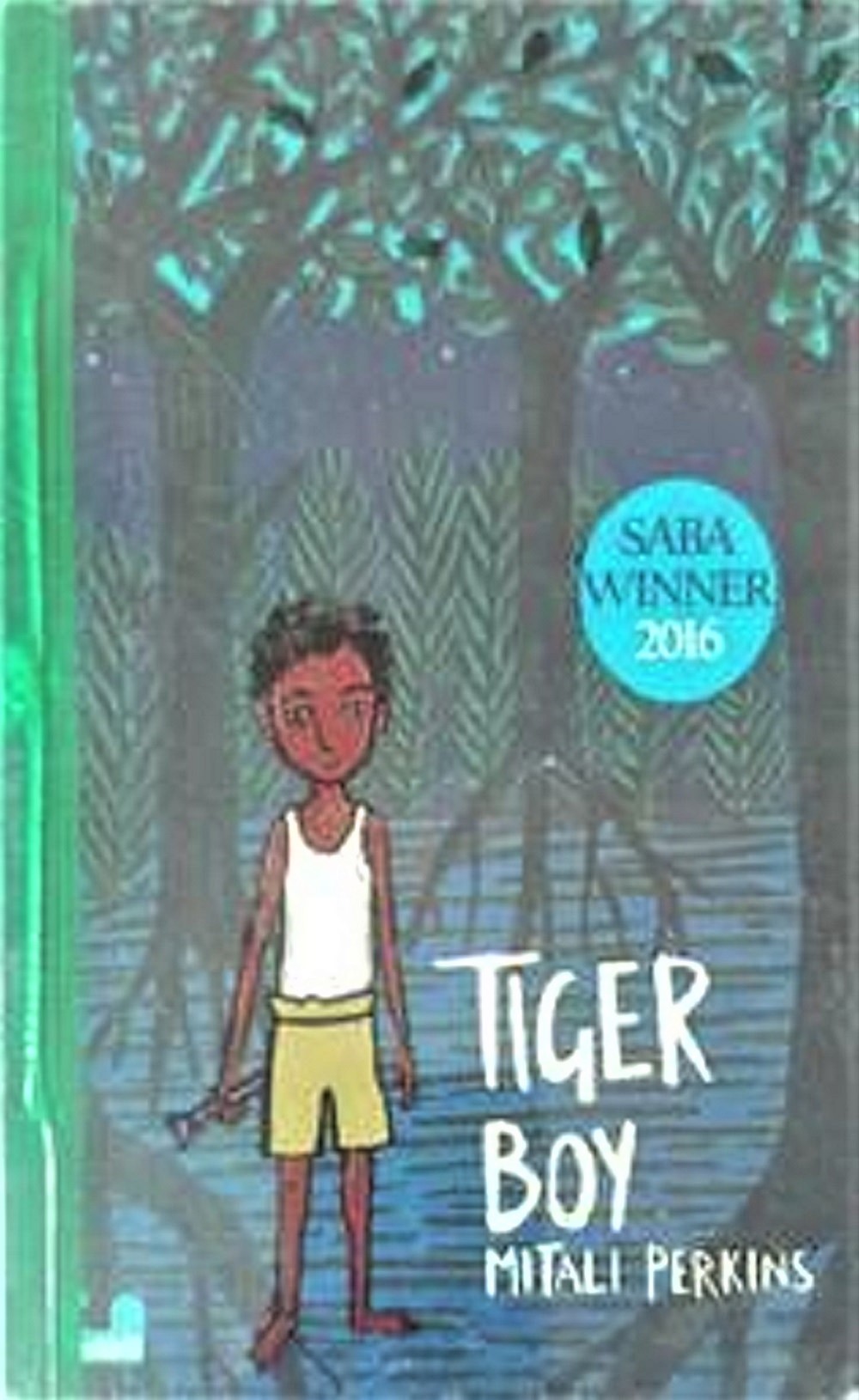 Tiger Boy By Mitali Perkins