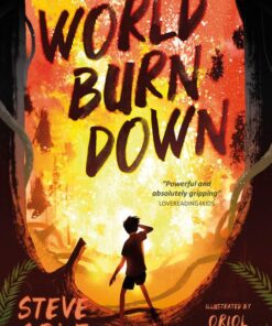 World Burn Down By Steve Cole