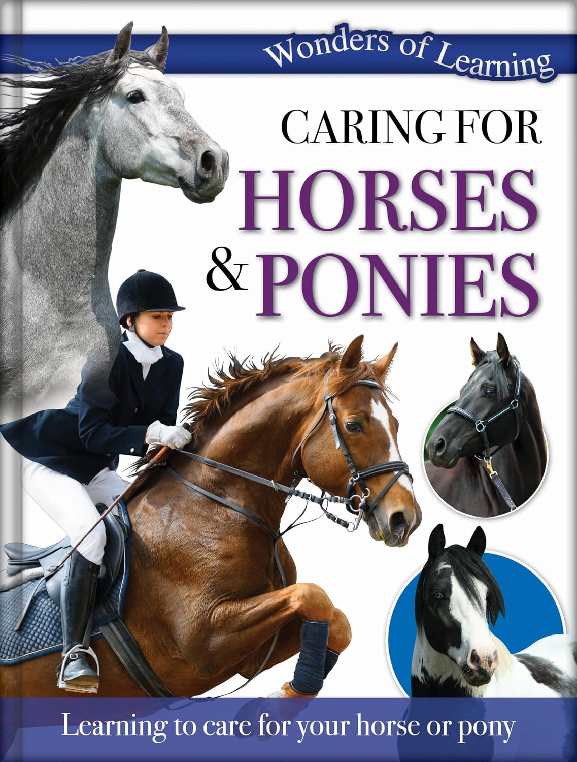 Wonders of Learning: Caring for Horses and Ponies