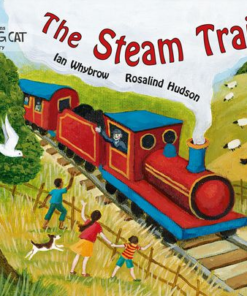 The Steam Train By Ian Whybrow